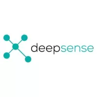 MarTech Company Deepsense Digital generated 100 CR for its clients
