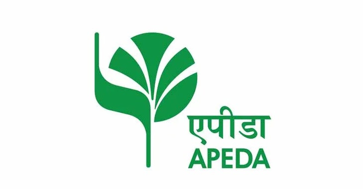 APEDA entrusted to promote Indian millets in international market