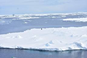 NCPOR uncovers mystery behind extremely low sea ice formation in Antarctic