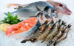 India broke its previous export record in seafood exports