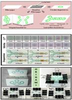 Indian Scientists have developed New paper-based device can simplify sensing of the contaminants