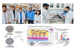 Indian researchers have developed a unique way to deliver tuberculosis (TB) drugs directly to the brain