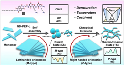 Peptide-based tunable piezoresponsive nanomaterials have emerged as an important area of ​​research