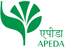 Madhya Pradesh’s GI-tagged Rewa Sundarja mangoes make global debut in UAE